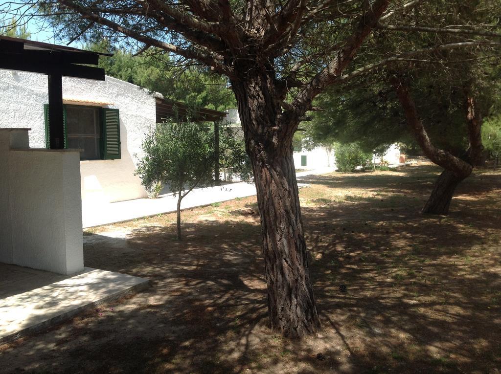Appartamenti In Villa Senia Favignana Exteriér fotografie